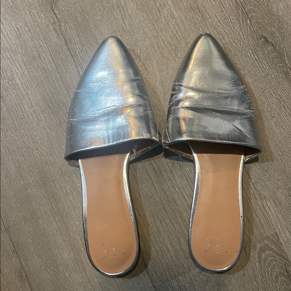 A New Day - Silver Pointed Toe Mules